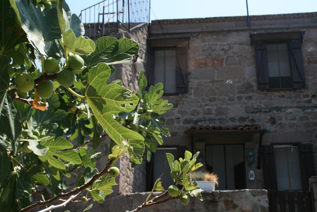 Assos Bohemian Hotel Eksteriør bilde